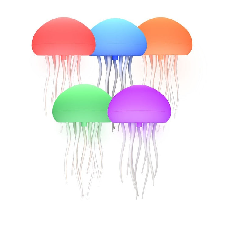 jellyfish
