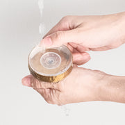 Stainless Steel Suction Hook